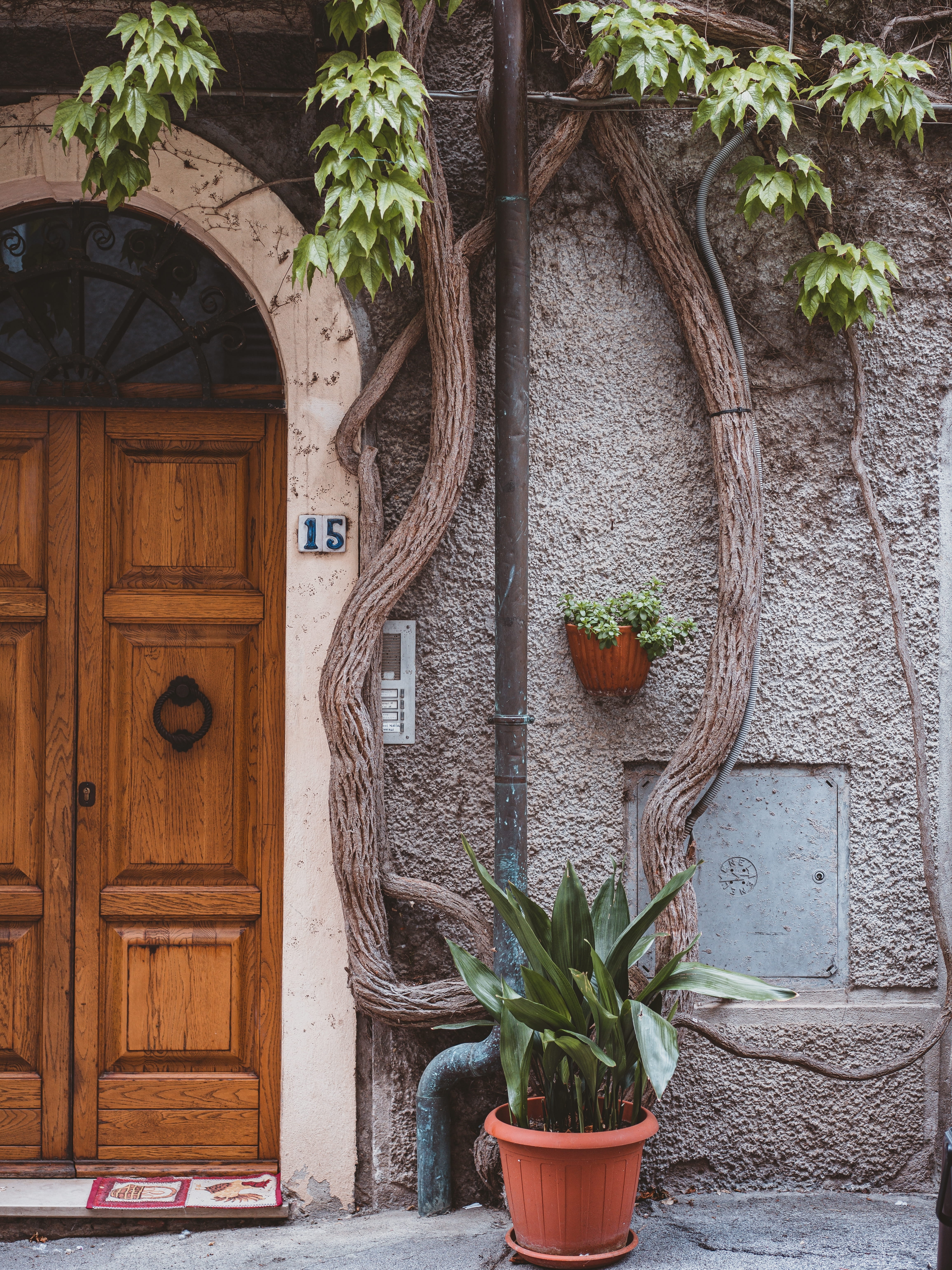 charming home entrance in italy
